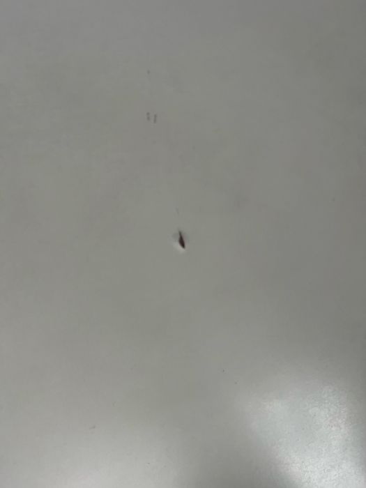 Stół wym.100x50x74
