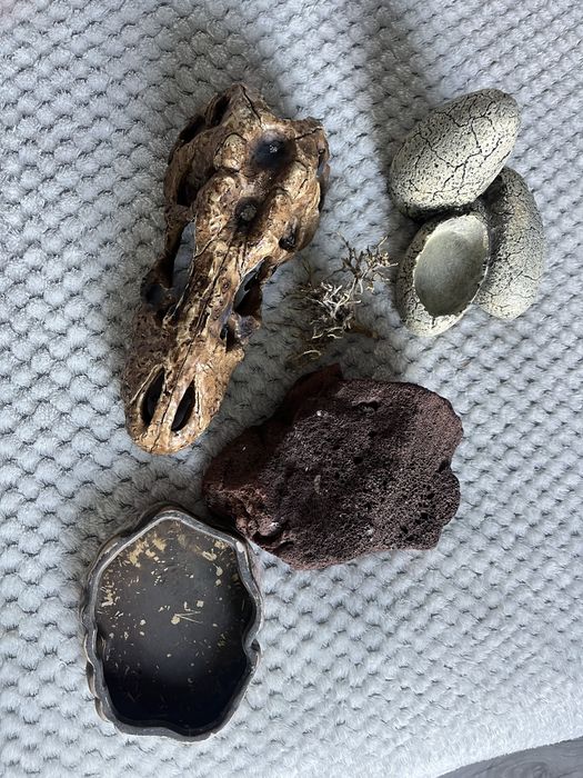 Akcesoria do terrarium