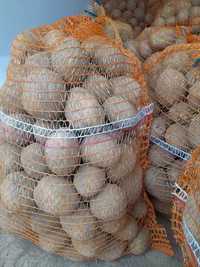 Ziemniaki żółte Tajfun,  Soraya 26 zł za 15kg