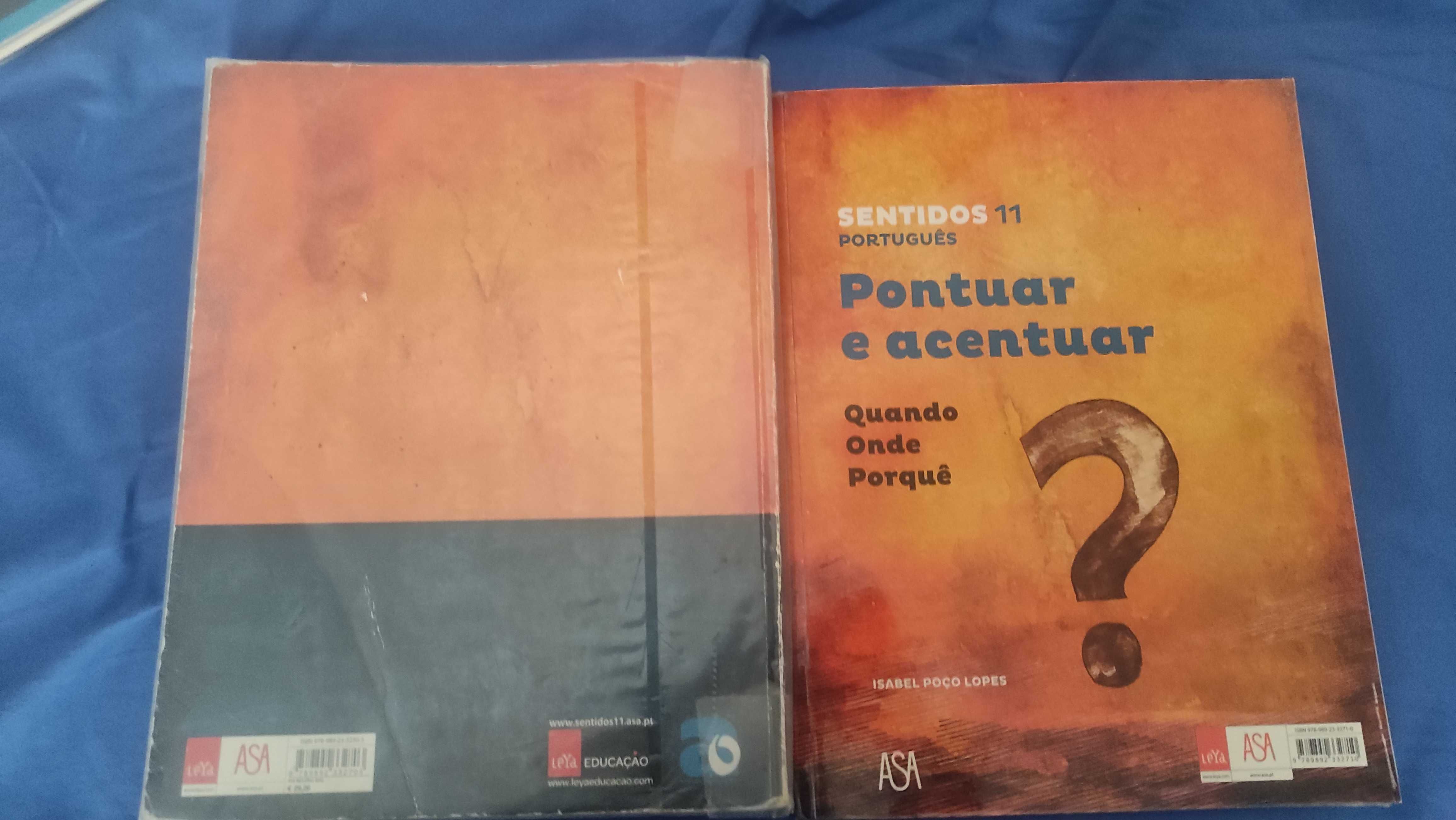 Manual+caderno atividade - Sentidos 11