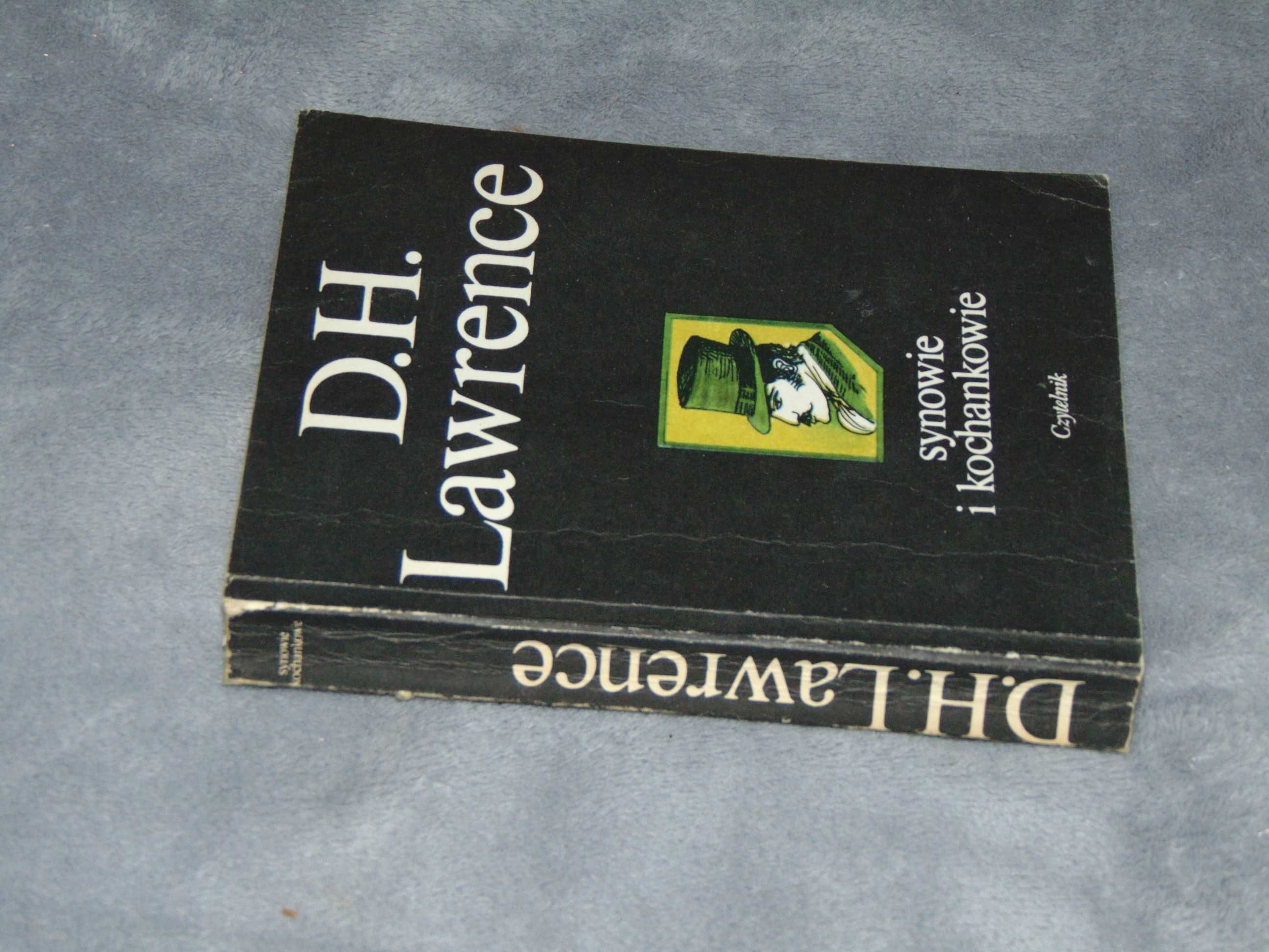 Synowie i kochankowie - David Herbert Lawrence
