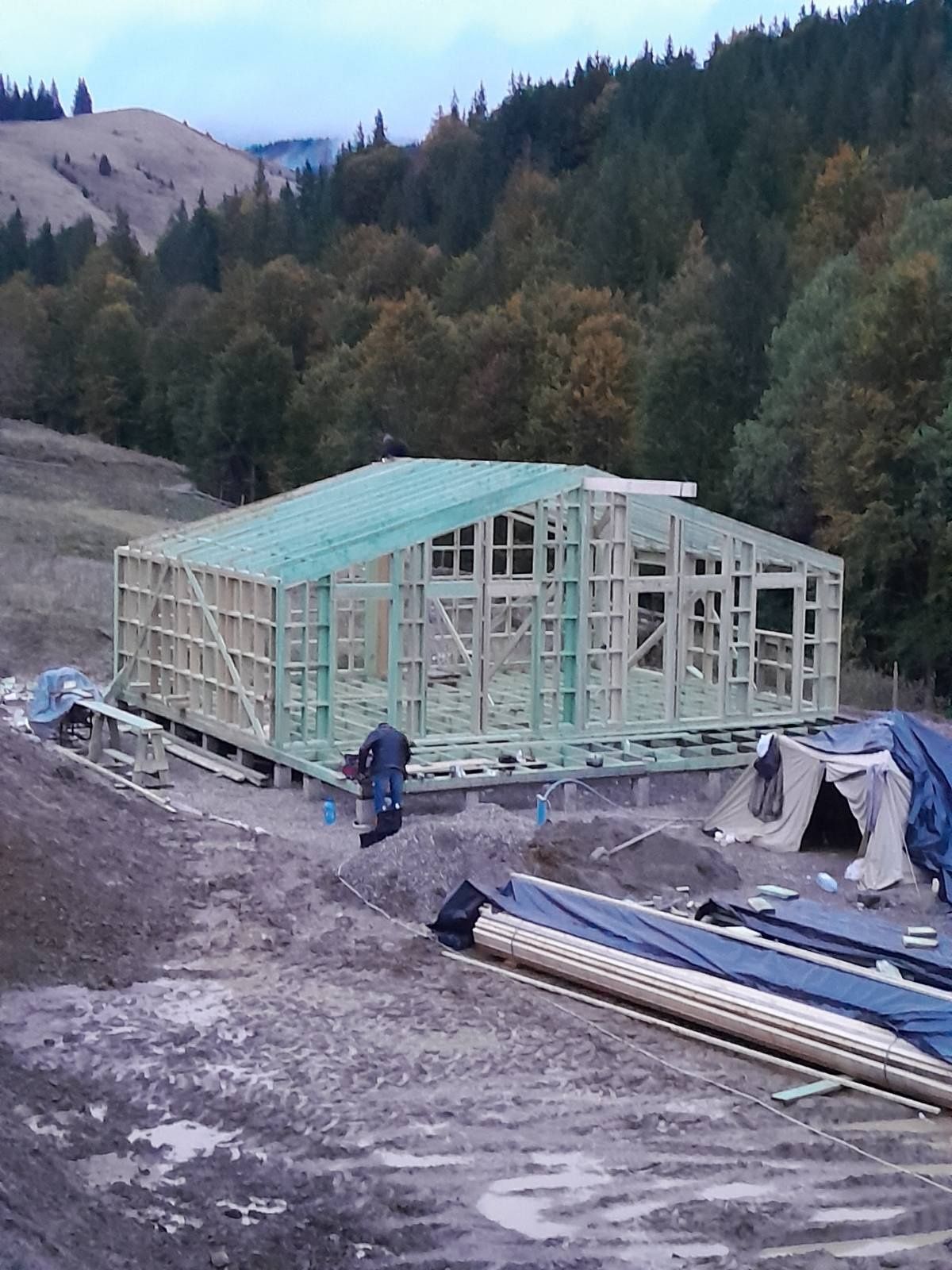 Каркасне будівництво
