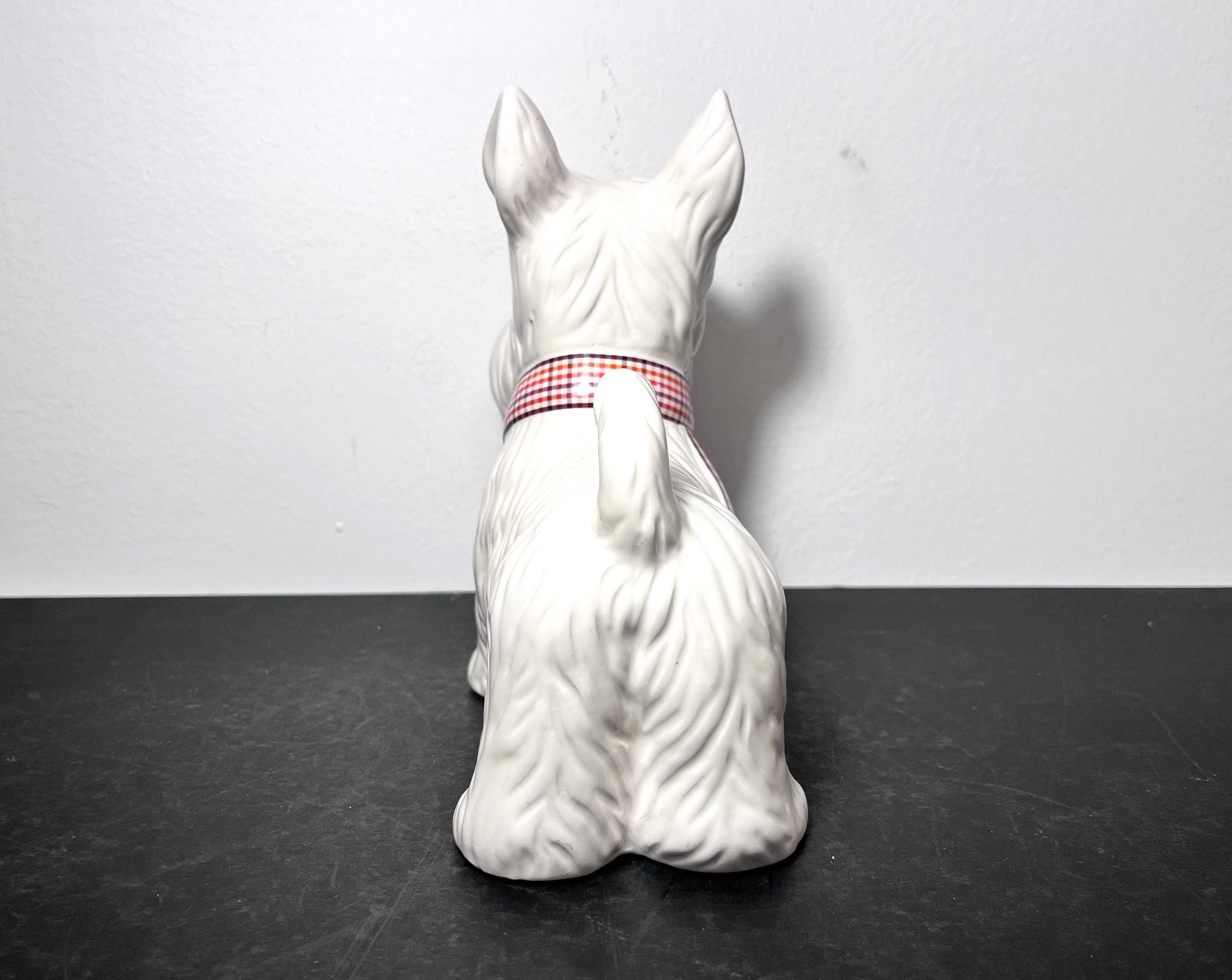 Skarbonka/ figurka ceramiczna Sznaucer!