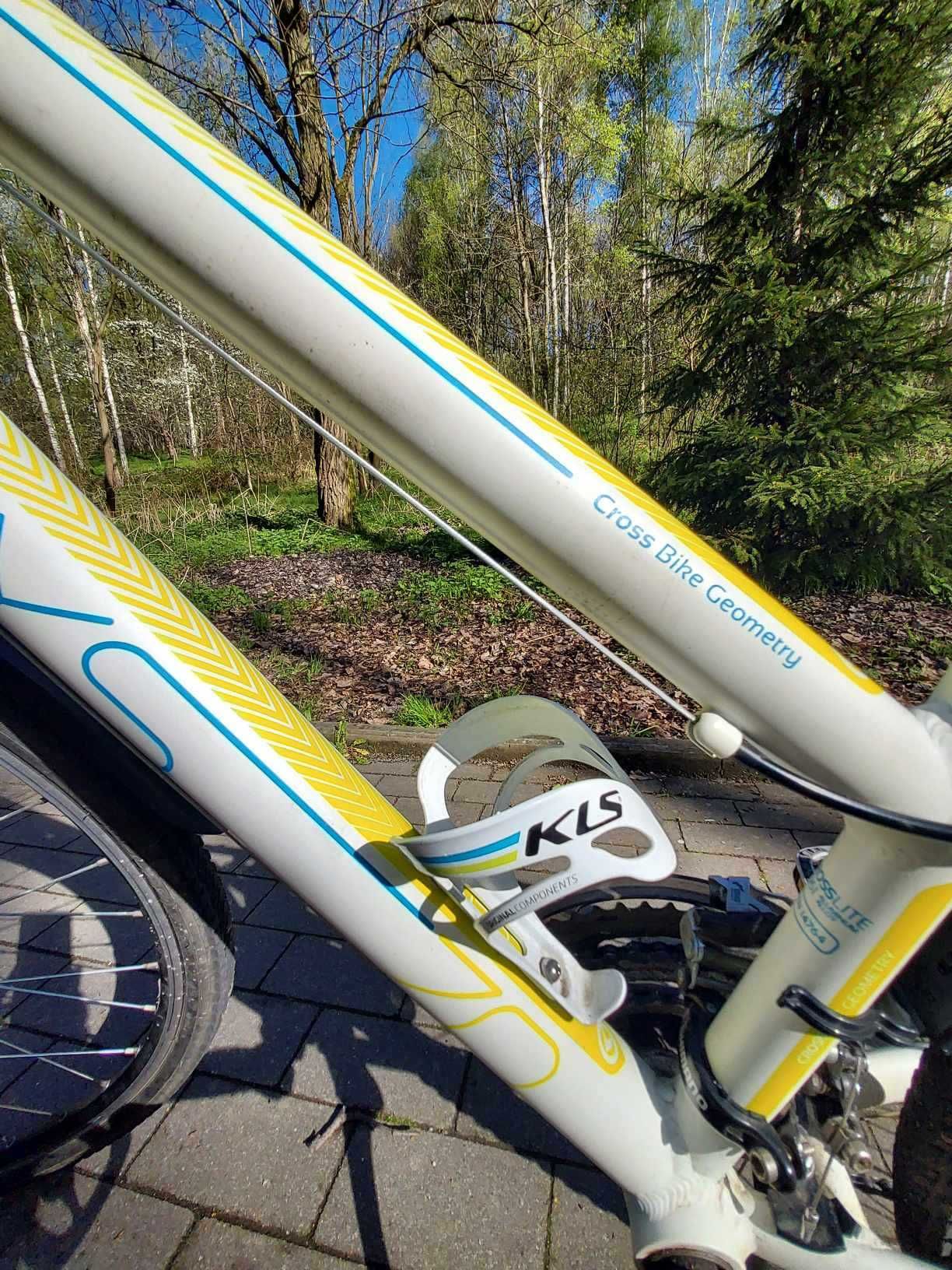 uniwersalny rower cross marki Kellys – model Clea 70