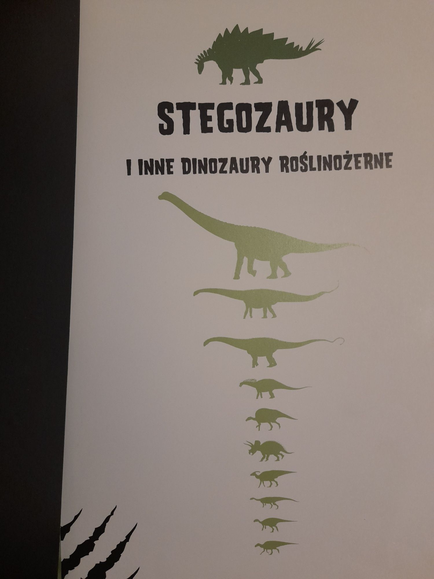 Stegozaury,książka dla dzieci