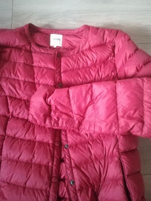 Kurteczka damska zalando s