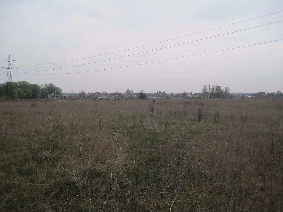 участок Зазимье 8 соток