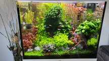 Juwel Lido 200l 71x51cm Zestaw z Szafką Szary - promocja 2100zł