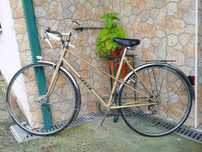 Bicicleta Mixte Arrow