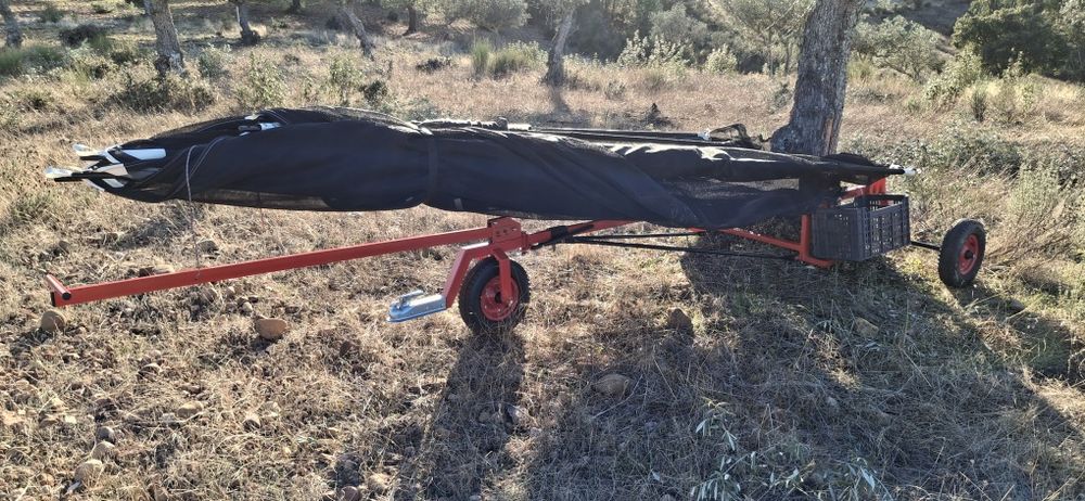 Apanha azeitona ou frutos secos