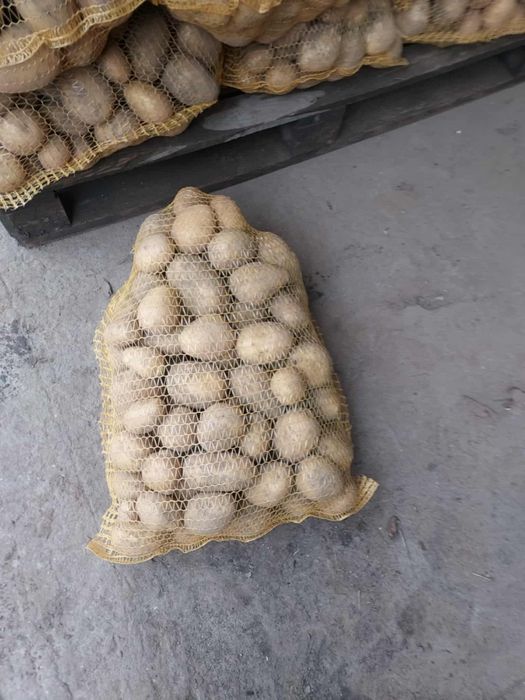 Ziemniak jadalny Soraya