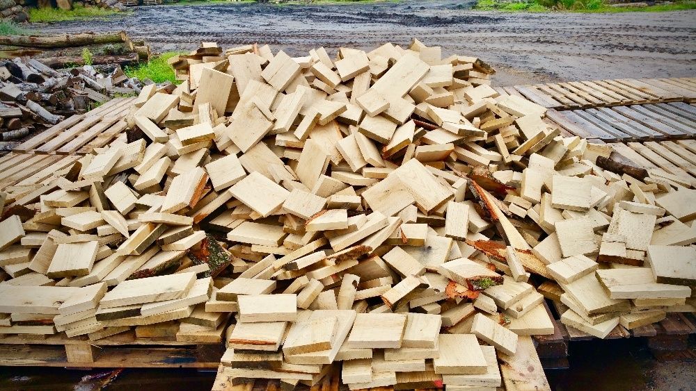 Odrzynki,klapki dębowe,dębina,dąb Poznań,Szamotuły