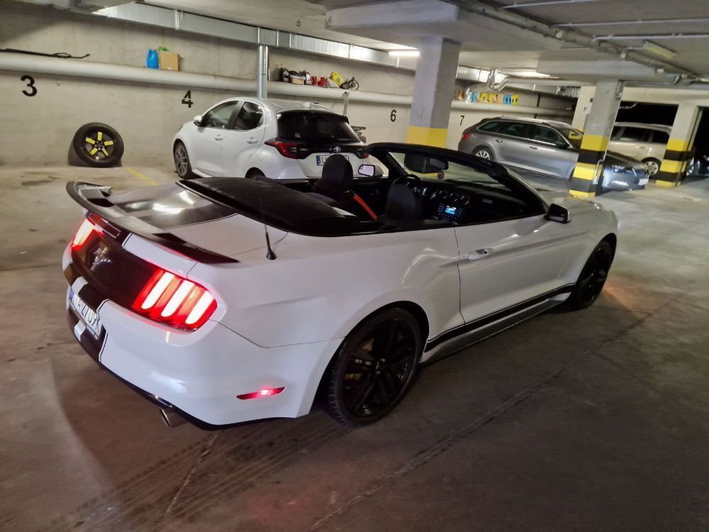 Ford Mustang Mustang Cabrio Piękny. V6 305km. Sportowy Wydech