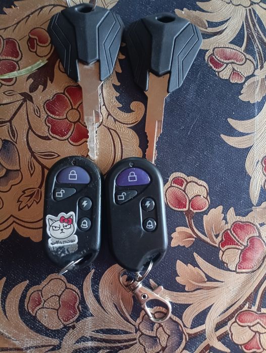 Geon pantera 250 (2024 року)