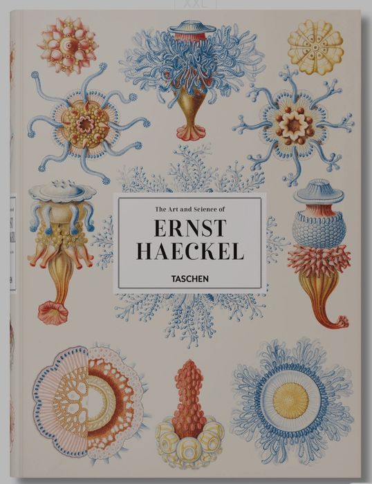 Ernst Haeckel XXL da Taschen