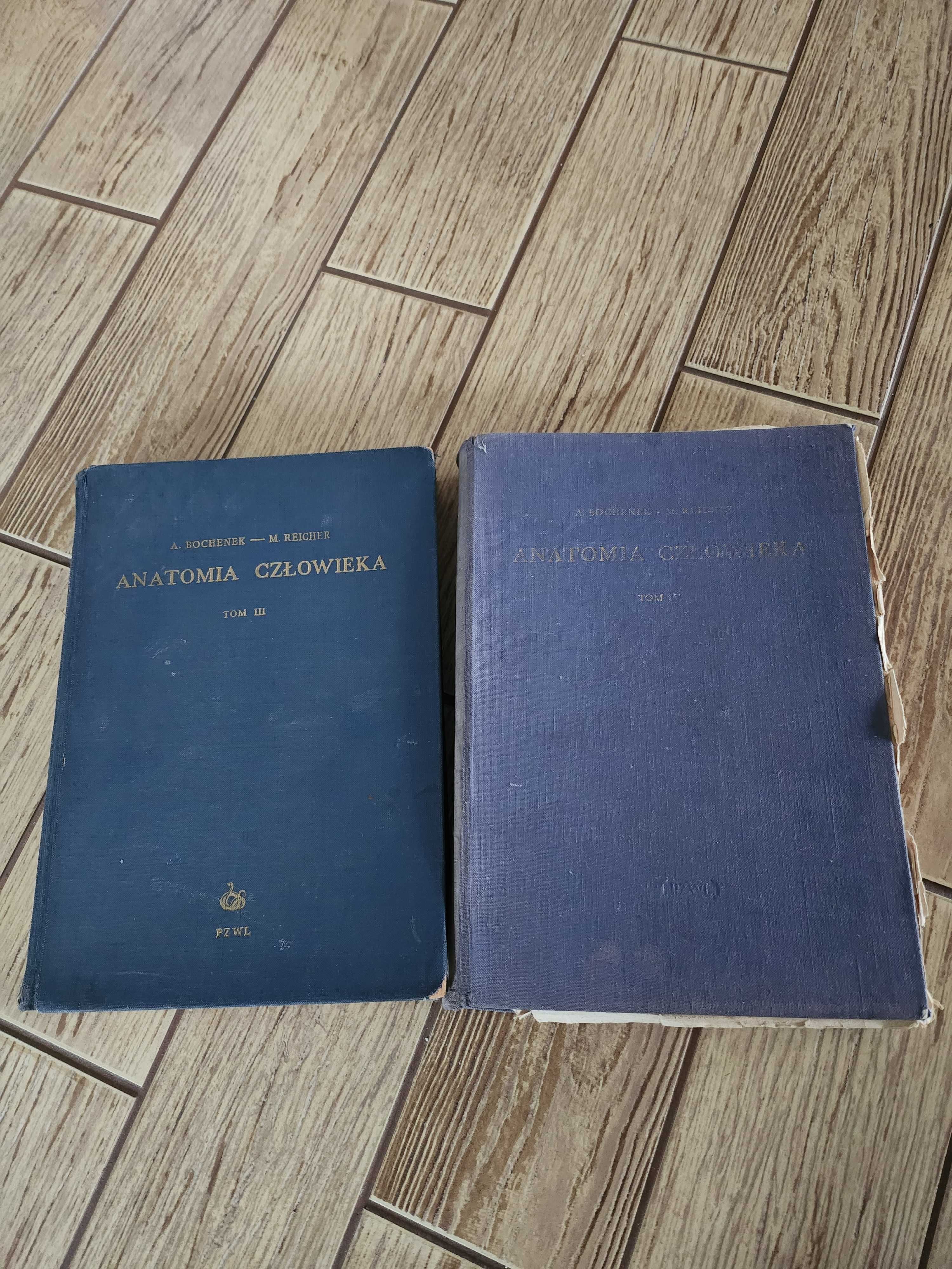 A. Bochnek M. Reicher Anatomia człowieka 2 tomy