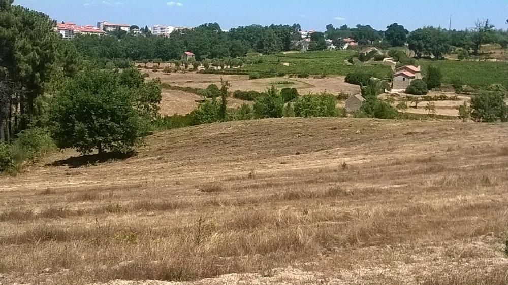 TERRENO rústico em Gramaços - Oliveira do Hospital, com 1 hectare.