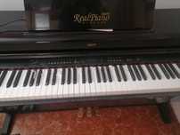 Real Piano rp120