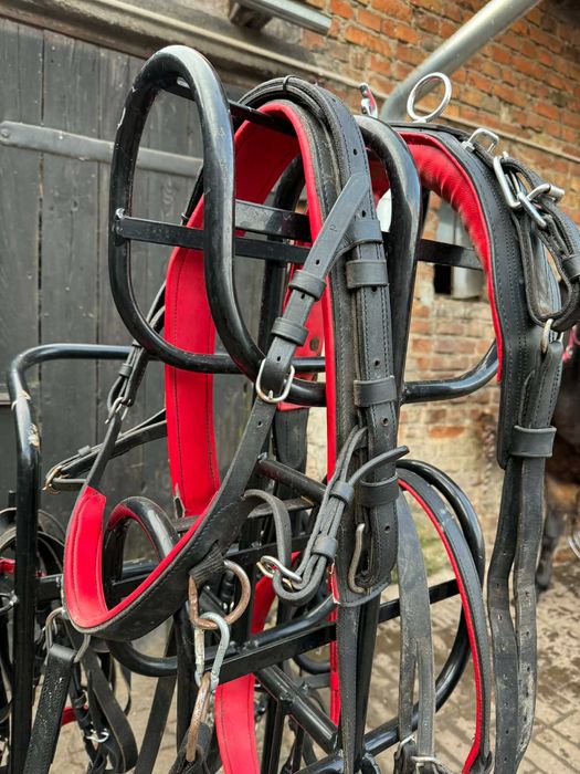 Uprząż dla kucyka na pojedynek