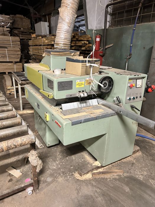 Wielopila Giabbiani grubosciowka