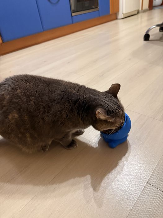 Миска для сухого корму