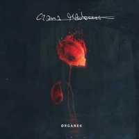 Organek- Czarna Madonna (CD)