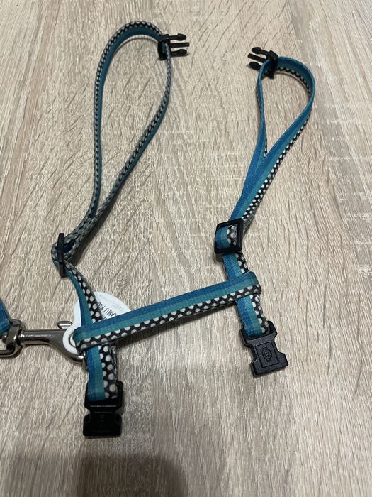 Smycz i szelki dla kota lub psa do 5 kg