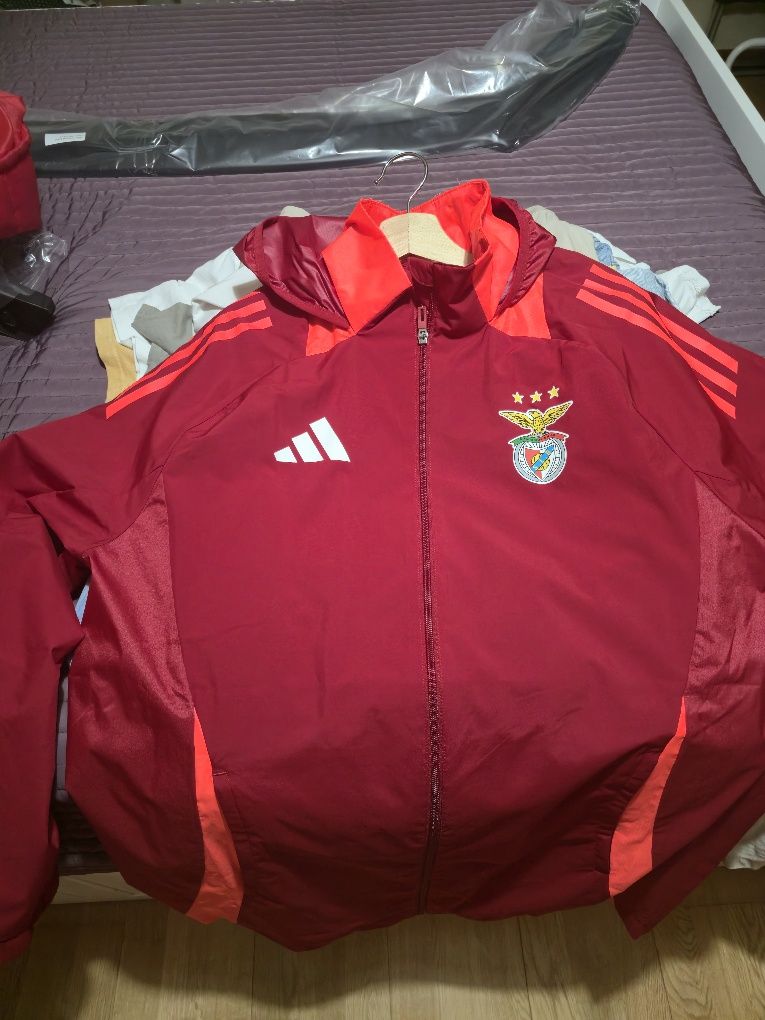 Corta Vento do Benfica