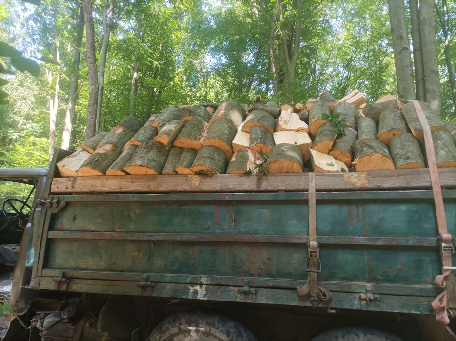 Дрова твердих порід бук граб дуб