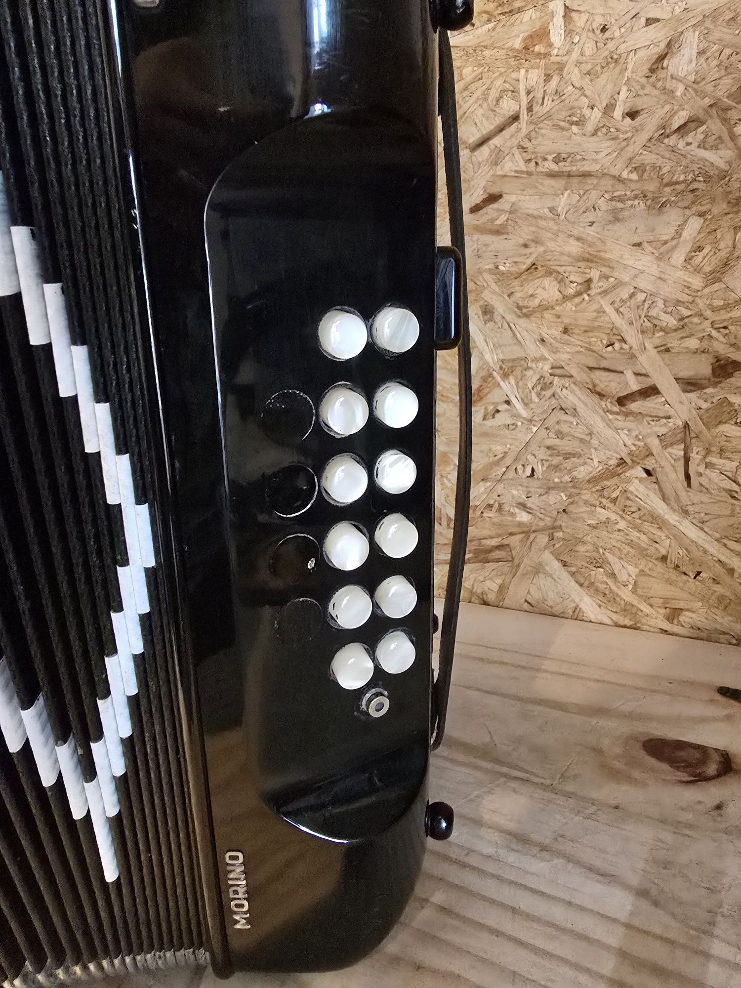 Concertina quinta voz