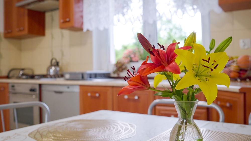 Apartament do wynajęcia w Stroniu Śląskim