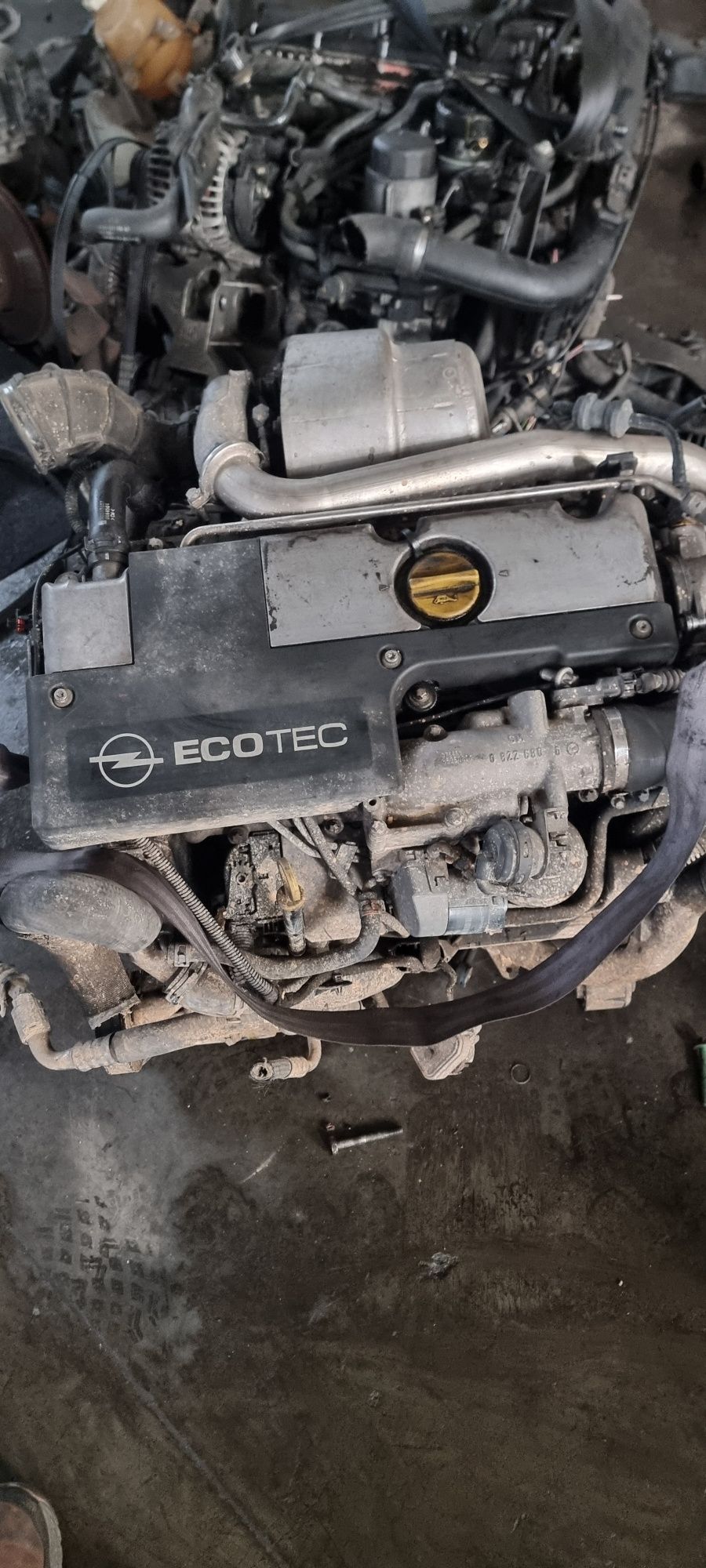 Motor Opel frontera 2.2 dti Y22DTR