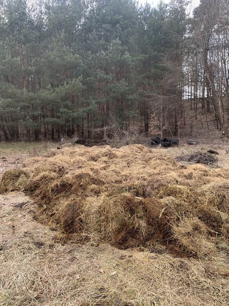 Oddam gnój, obornik koński, gnojowica, nawóz koński, naturalny