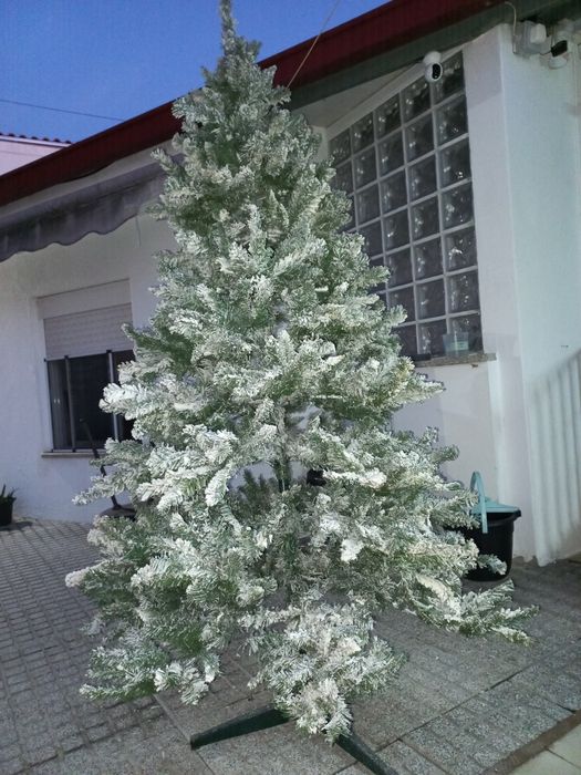 Árvore de natal com neve