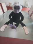 Peluche fofinho pouco usado
