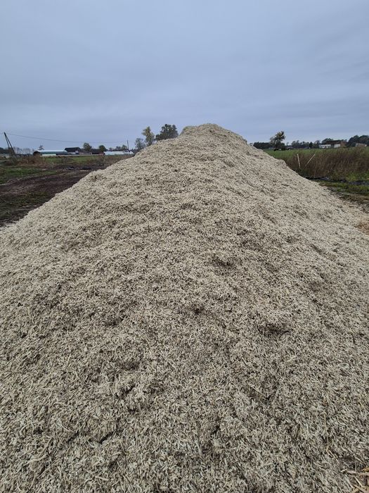 Wysłodki Wyslodka buraczana mokra z transportem