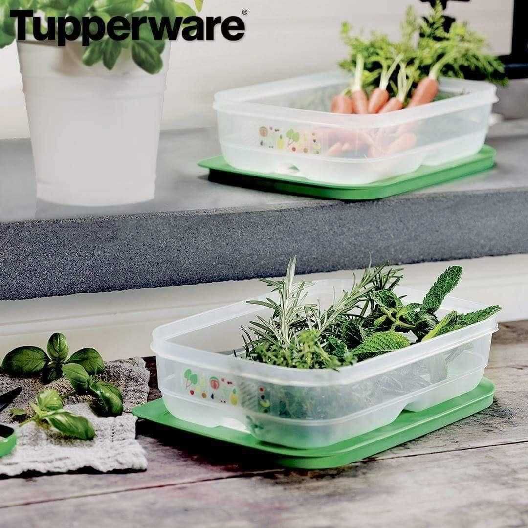 Ventsmart 1,8L baixa (novo) - Tupperware