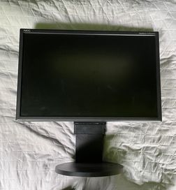 Monitor Nec MultiSync LCD225wnx