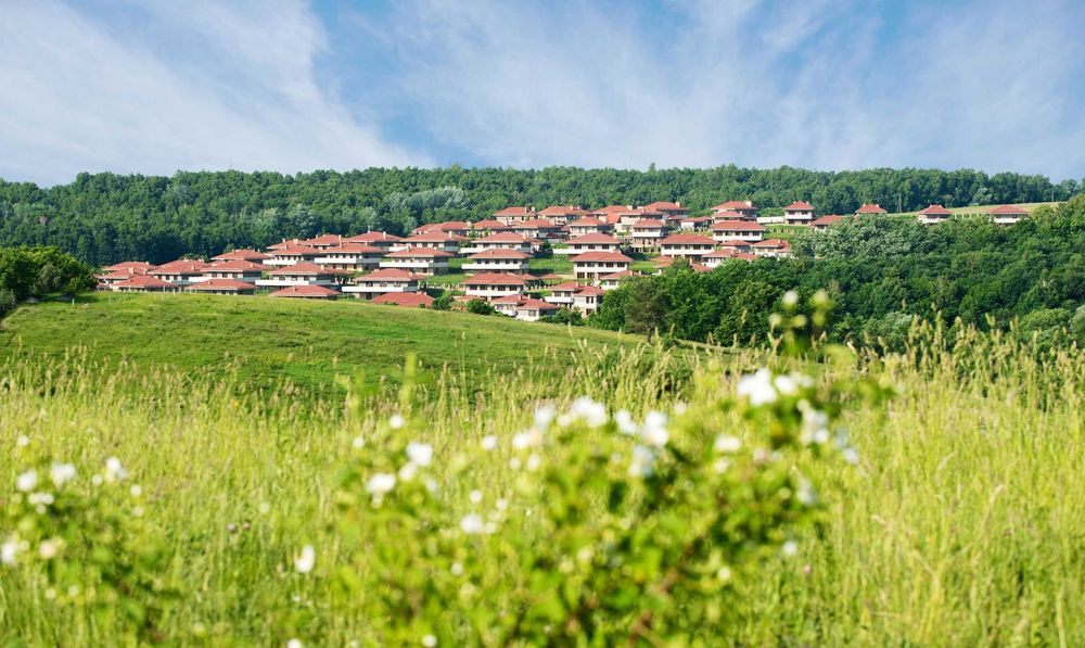 Продаж будинку, Маєток Перлина Італії, Іванковичі