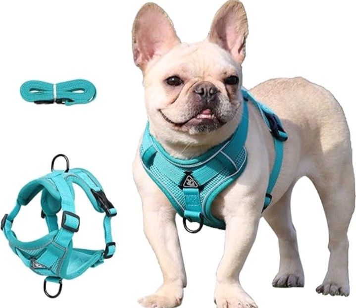 HoaaiGo uprząż dla psa ze smyczą rozmiar S