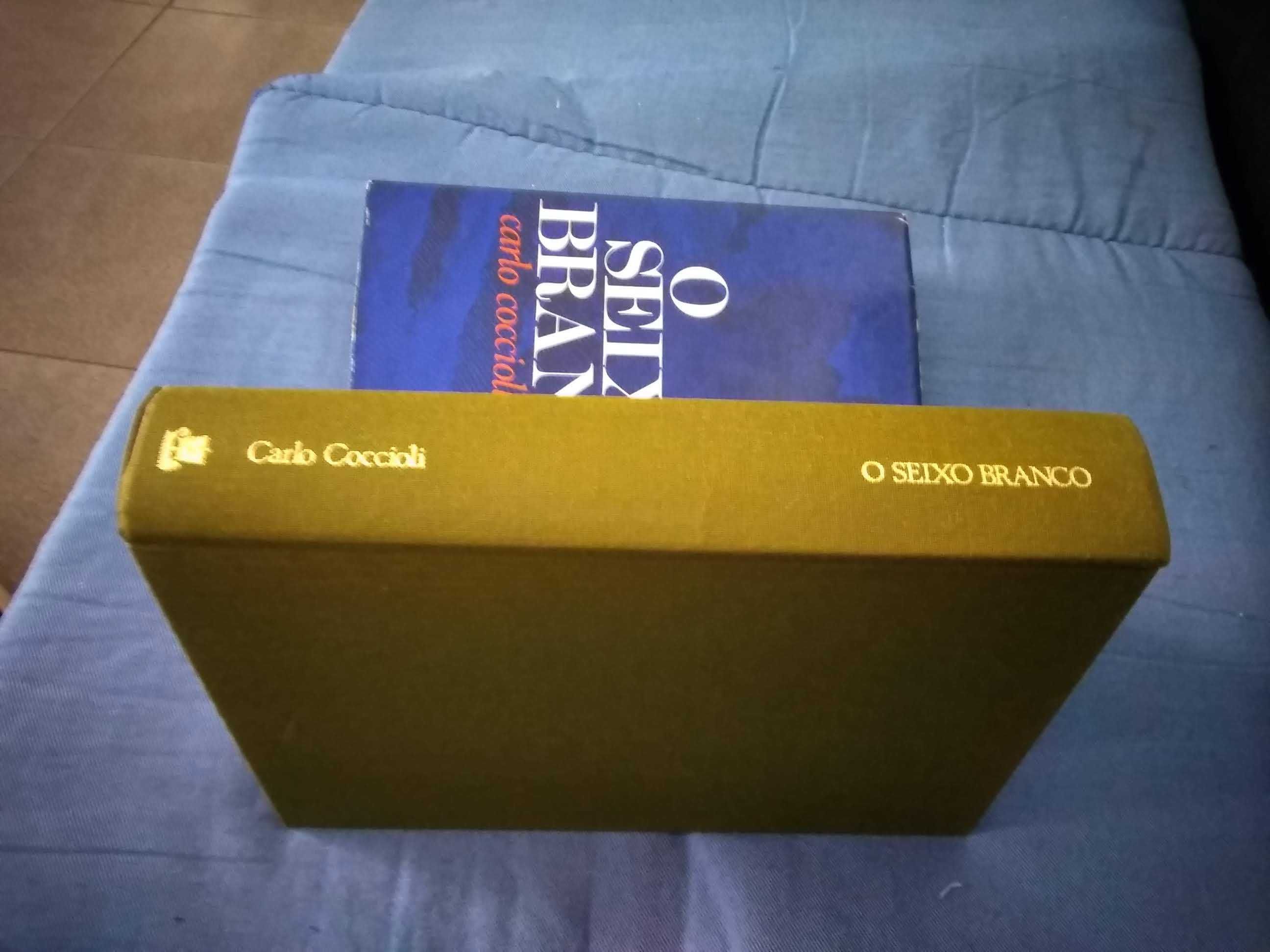 Livro - O seixo branco