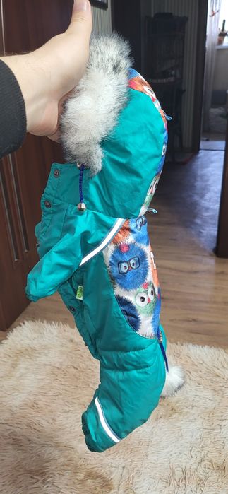 Комбінезон для чихуашки