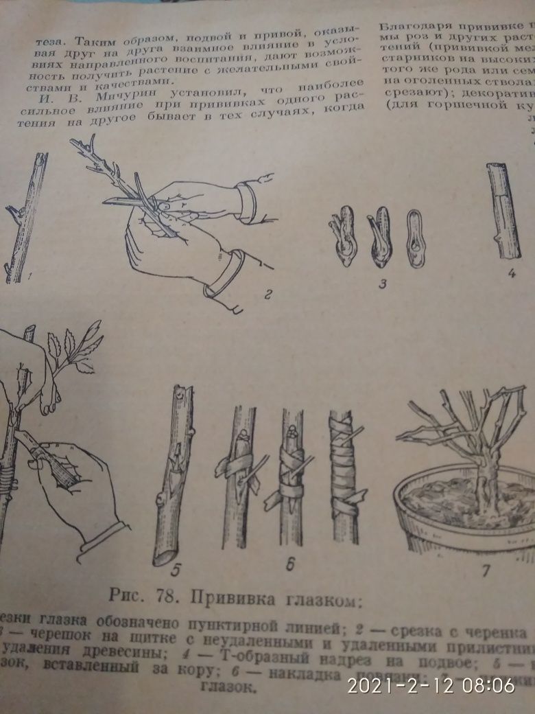 Старовинна книга "Комнатное садоводство" 1956, Москва