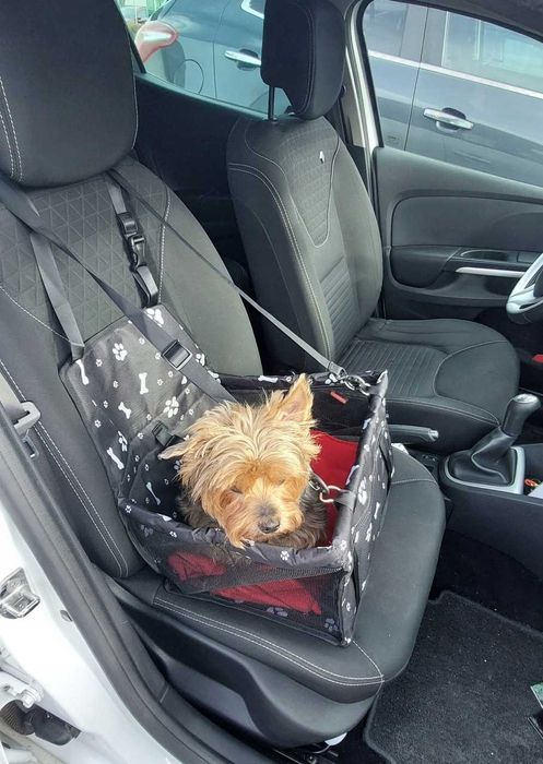 NOWY Transporter Dla Psa Do Samochodu Torba Fotelik Kojec Legowisko
