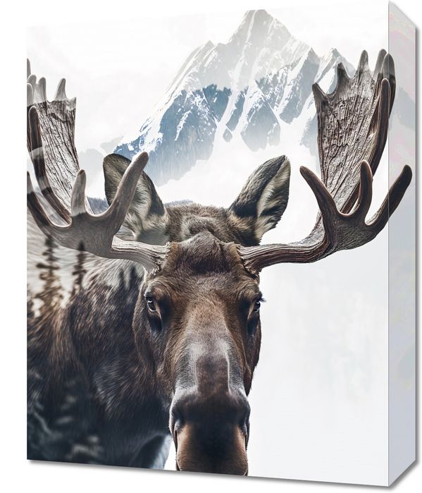 Obraz 40x50cm Łoś Duch Lasu