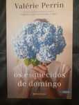 Os Esquecidos de Domingo, da autora de A Breve Vida das Flores