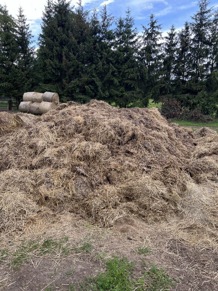 Obornik koński (konie, ekologiczny nawóz)