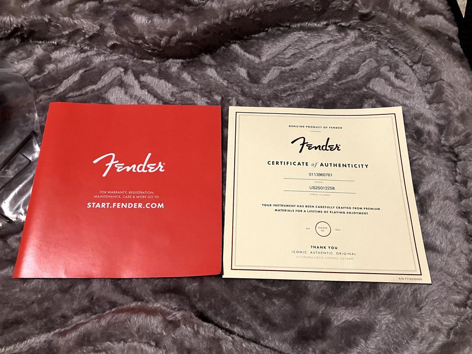 Fender USA Telecaster Deluxe (American Professional II)