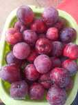Ameixas vermelha 2,5€/kg