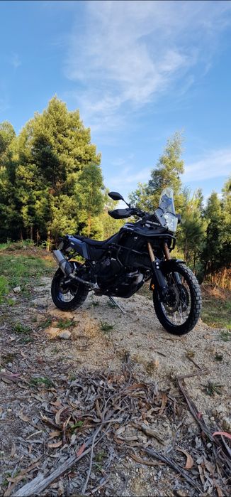 Yamaha  tenere  world  raid